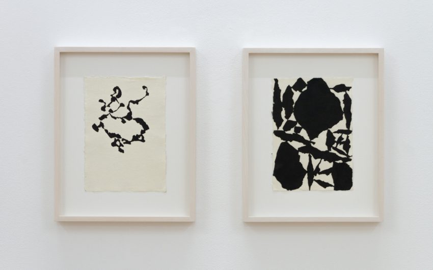 TQ2 e zenun taking cuts c florian langhammer