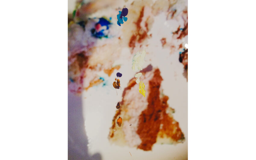 Tq Lisa Holzer Edition