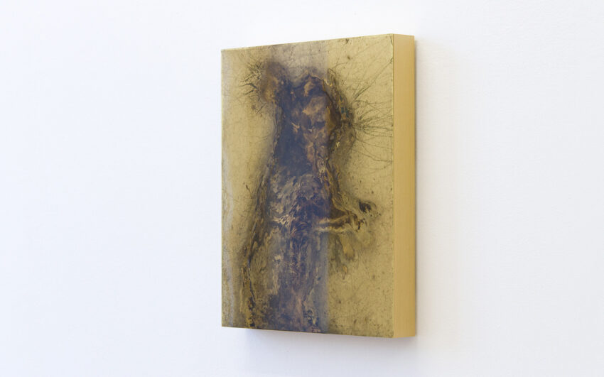 Tq Toni R Toivonen Portrait Of A Hare 15