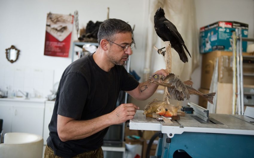 TQ Ali Cherri c Elise Toide