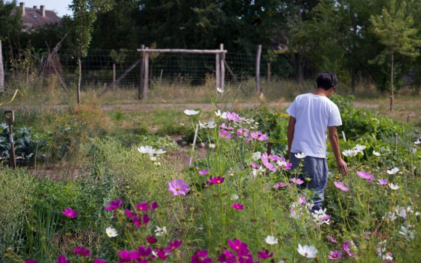 TQ danh vo c Nick Ash courtesy Danh Vo