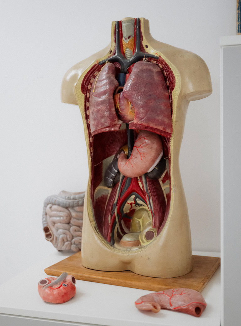 09 Sophie Hirsch Christoph Liebentritt